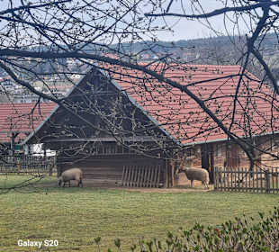 Wandern Bad Tatzmannsdorf