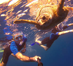 Selfie mit Schildkröte