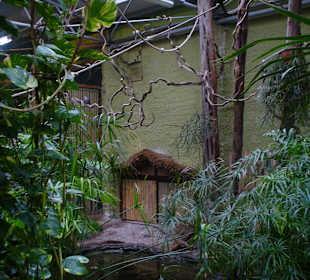 Zwierzęta w zoo