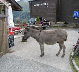 Mautstelle