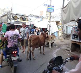 Auf dem Markt von Pushkar unterwegs