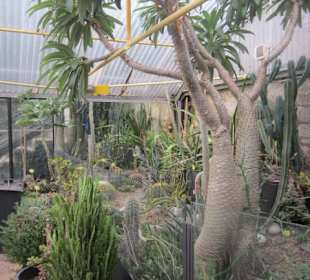 Botanischer Garten Bergamo