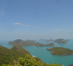 Blick vom Viewpoint auf Marine NP