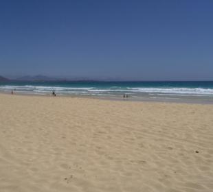 Parco naturale delle dune