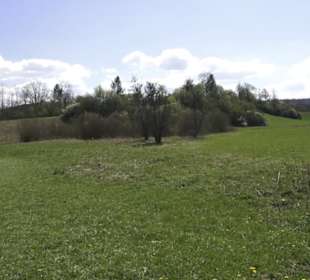 Sport- und Freizeitpark Markwasen