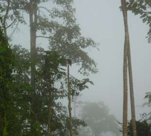 Morgendliche Bootsfahrt zu den Ox-Bow Seen