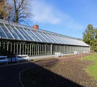 Außenansicht des Tropenhauses im Schlosspark