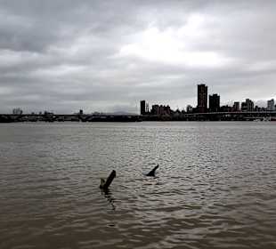 Yanping Riverside Park