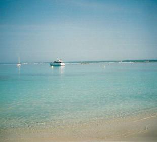 Traumstrand Es Trenc