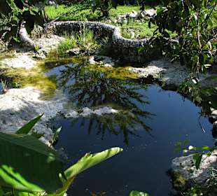 Cenote