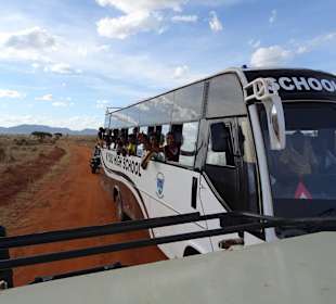 Schulkinder auf Safari