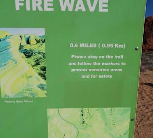 Einer von vielen Trails