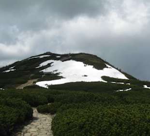 W drodze na Babią Górę