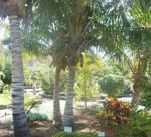 Im Parque de Botanico (Innenbereich)