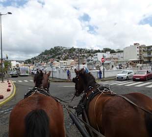 Mit der Kutsche durch Fort de France
