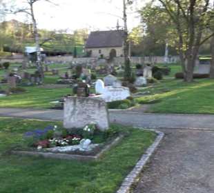 Friedhof