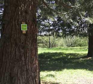 Sport- und Freizeitpark Markwasen