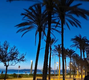 Strand Playa/Platja de Palma
