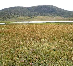 Cotopaxi Nationalpark