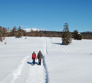 Wandern im Winter
