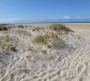 Bei Tarifa