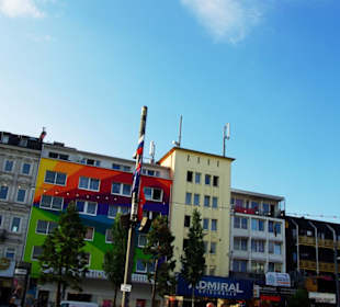 St. Pauli pur