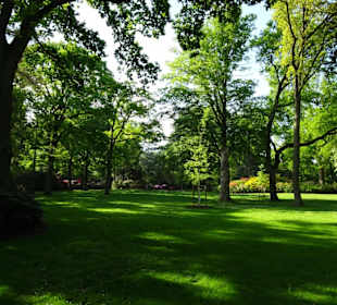 Hauptblüte im Rhododendronpark Bremen