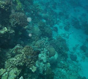 Hausriff Arabella Azur Beach