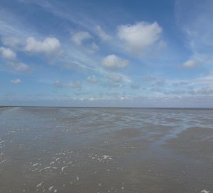 Das Watt
