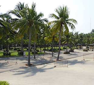 Blick vom Parkplatz auf den Park