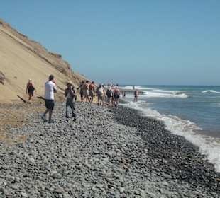 Strand von Maspalomas