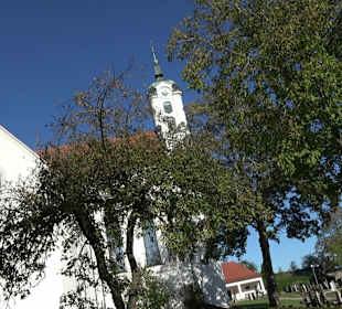 Klosterkirche St. Peter + Paul Oberelchingen