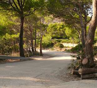 Haltepunkt an der Cala...