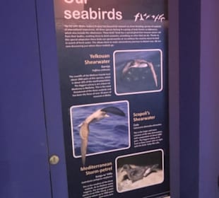 National Aquarium Malta