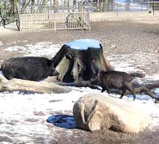 ImpressionOstern2013