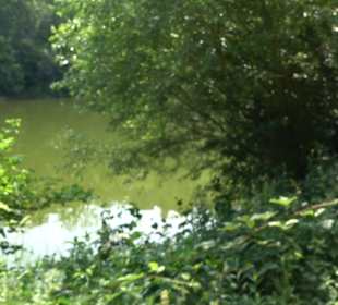 Rundwanderung Klingenbachtal - Sulzbachsee