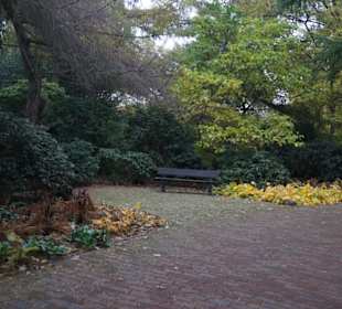 Parkanlage Planten un Blomen