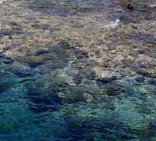 Ein Korallenriff wo man rum schnorchelt