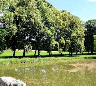 Teich im Schlosspark