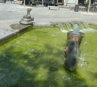 Beim Paradiesbrunnen in Fürth