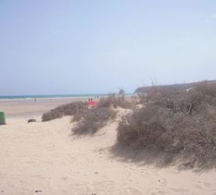 Playas de Sotavento