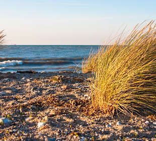 Strand Fehmarn