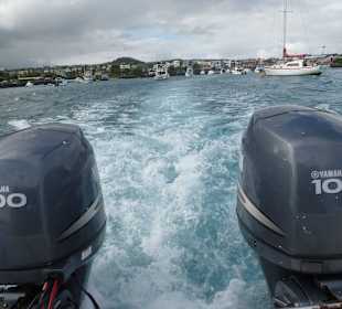 2x 100 PS das gibt Power