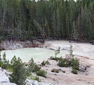 Sulphur Caldron Yellowstone