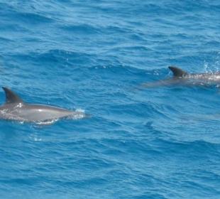 Es gibt Sie wirklich