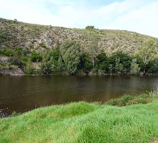 Bonte Bok Nationalpark