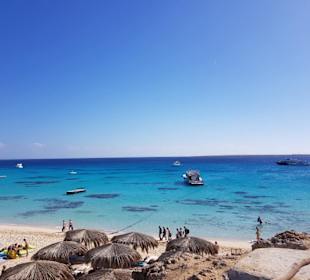 Die Insel