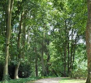Spaziergang durch die sommerlichen Graftanlagen
