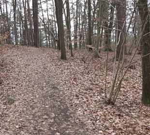 Unterjesinger Wengertwegle