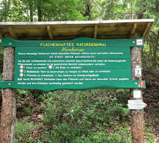 Wanderweg - Alter Steinbruch Pfaffenberg Runde